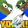 db