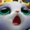 CatWhoa