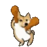 hyperKFCDoge