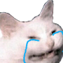 sadly_cat Discord emoji