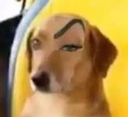 sus_doge Discord emoji