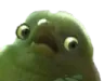 birbwtf
