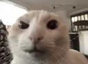 huh
