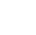 Zenith Discord emoji