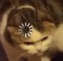 kotConfuseLoading kotConfuseLoading