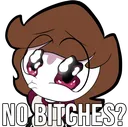 no_bitches
