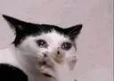 ohnooooo ohnooooo