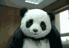 panda Discord emoji