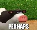 perhaps