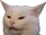 ConfusedCat