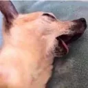 death