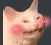 Happy_Cat