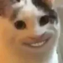 kucingsenyum