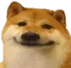 DogSmile