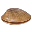 emote_clam