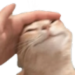CRDCatPat