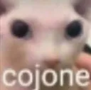 GW_BingusCojone GW_BingusCojone