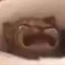 Catcri catcri Discord Emoji