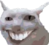 catzo catzo
