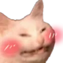 e_catblush