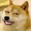 Cursed_doge Cursed_doge