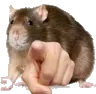 ratpoint