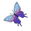 butterfly