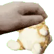 z43ratheadpat