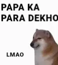 mm_papa_ka_para