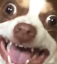 bubs2 Discord emoji