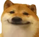 hah