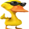 PatoJoinha