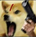 arc_doggo arc_doggo