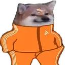 BhagwaDoge Discord Emoji