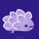 nudi_cri_run
