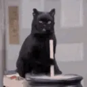 Stir Stir