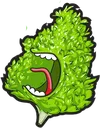 SmokerSection