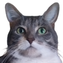 EV2 Discord emoji