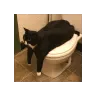 toiletcube
