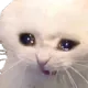 catcrai