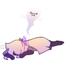 z_49