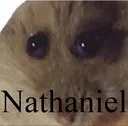 Nathaniel