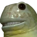bigyikes