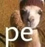 pe
