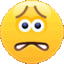 ALLP_Worried