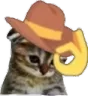 Hatcat Discord Emoji