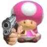 toadette toadette