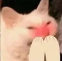 ohmai ohmai