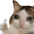 catOK
