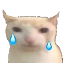 Cry_BruhCat